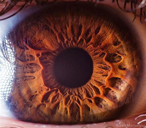 21 Extreme Close Ups Of The Human Eye006 FunCage