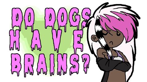 Do Dogs Have Brains Oc Animation Youtube
