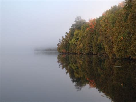 Foggy Morning Foggy Morning River Photos Outdoor Outdoors Pictures