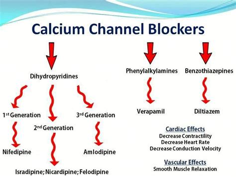 A Brief Details Of Calcium Channel Blocker Medicine CCBs Calcium