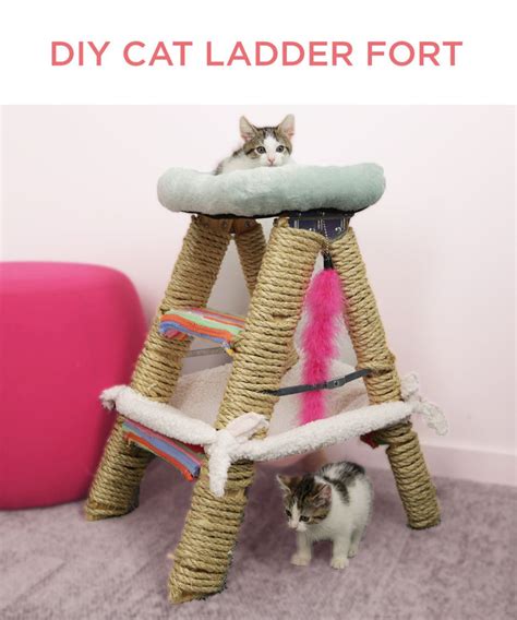 This Cat Jungle Gym Will Have Your Feline On Cloud Nine Cat Diy Cat