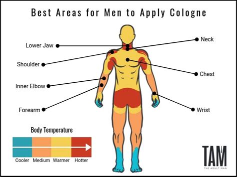 How To Choose And Apply Cologne The Ultimate Fragrance Guide For Men