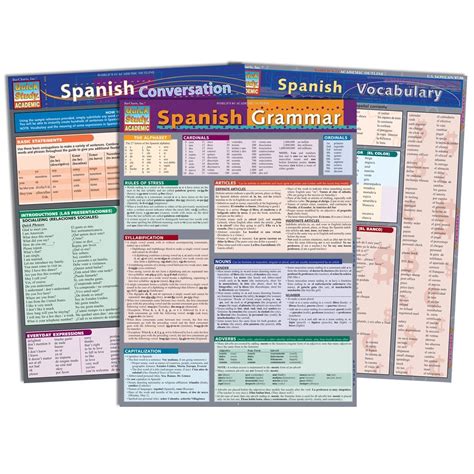 Spanish Quickstudy Bundle Spanish Vocabulary Grammar Reference