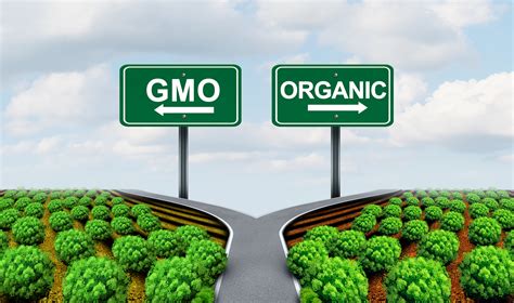 Another Opinion About Genetically Modified Crops Historic Union County