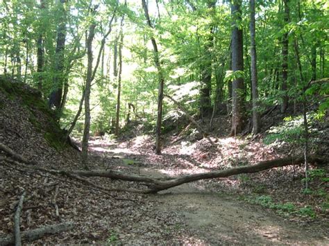 Natchez Trace Scenic Drive Scenic Pathways