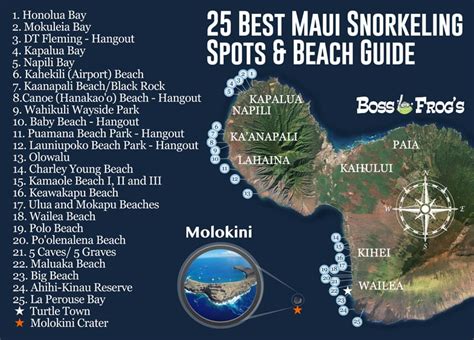 25 Best Maui Snorkeling Spots And Beach Guide Videos And Photos