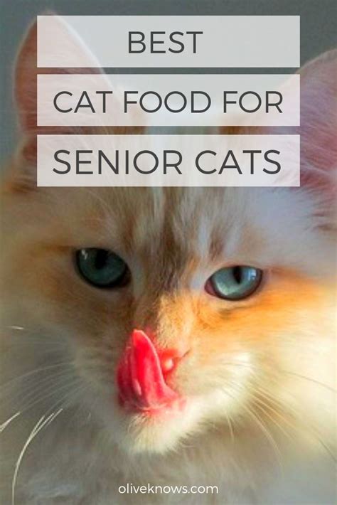Just click on the brand and name of the food for the ingredients list, a. Best Cat Food for Senior Cats (Wet and Dry Food) | Best ...
