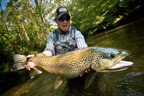 Catch Trophy Brown Trout By Stacking The Odds In Your Favor Fly