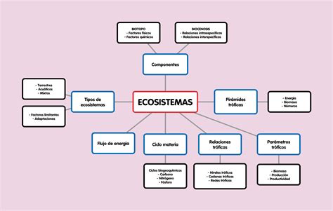 Get Ecosistema Mapa Mental Pictures Pedicas