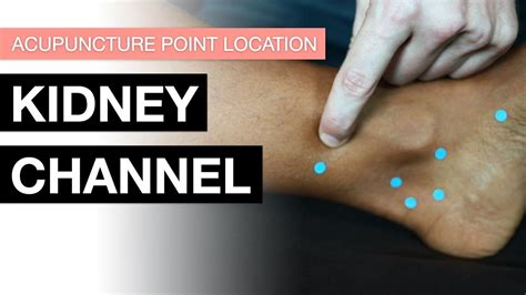 Acupuncture Point Location The Kidney Channel Kidney Meridian