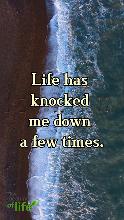 Life Has Knocked Me Down A Few Times The Meaning Of Life