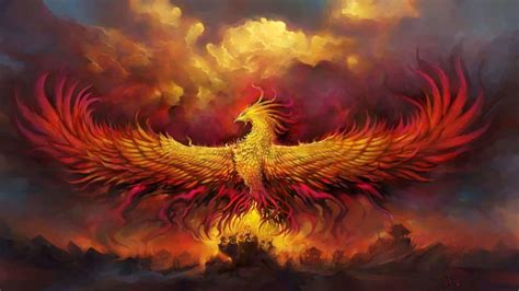 Real Phoenix Bird A Mysterious And Mythological Bird Pets Nurturing