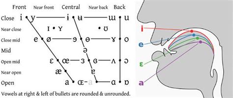 Ipa Chart Vowel 600×253