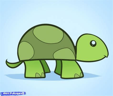 Turtle Drawing For Kids At Getdrawings Free Download