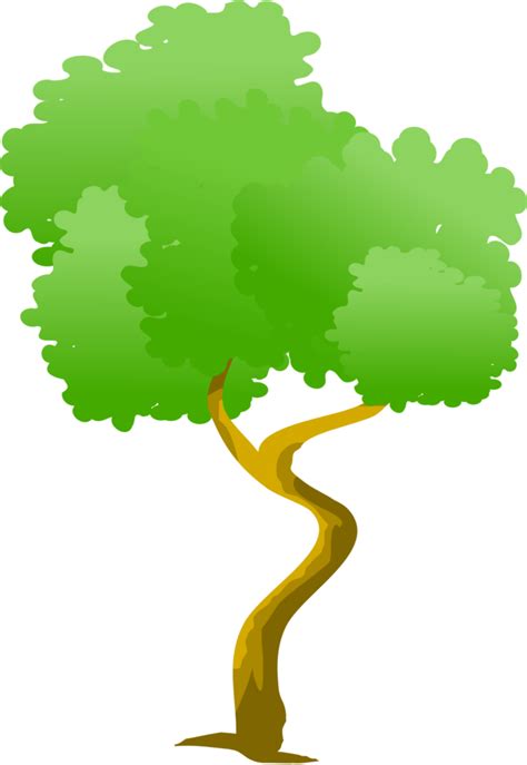 Free Albero Png Foresta 8854003 Png With Transparent Background