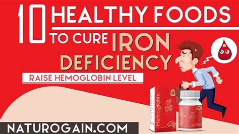 Best Natural Iron Supplements For Anaemia Treatment Naturally At Home