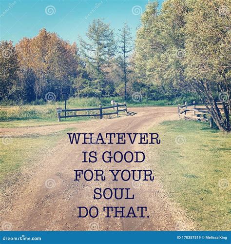 Inspirational Quote Whatever Is Good For Your Soul Do That Stock