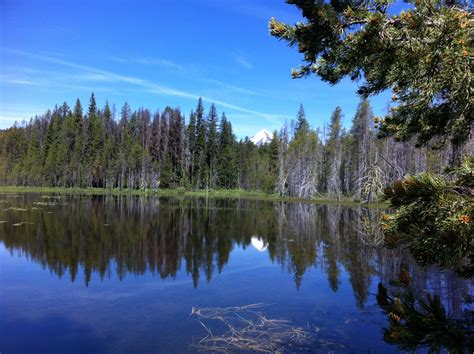Maybe you would like to learn more about one of these? Lake of the Woods, Oregon | Natural landmarks, Favorite ...