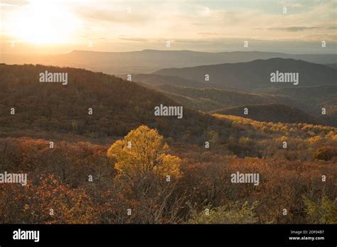 Fall Foliage In The Shenandoah National Park And Shenandoah Valley In