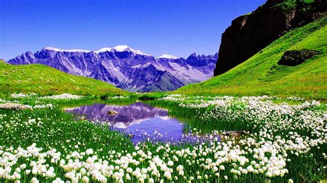 Landscape With Mountain And Lake Rocks Pretty Grass Bonito Snowy
