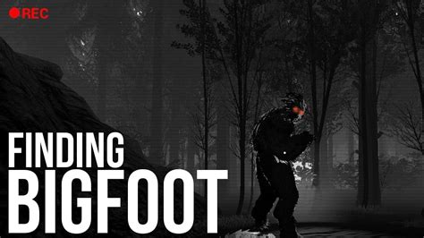 Finding Bigfoot Game 🎮 Download Finding Bigfoot Play Game For Free