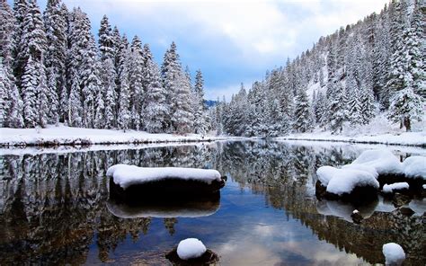 Winter Forest Lake Wallpapers Wallpaper Cave