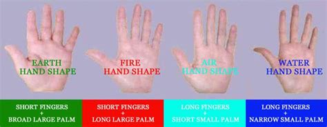 Finger Length Long Fingers Vs Short Fingers The Implications