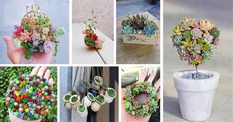 Cute Tiny Succulent Planters That You Will Instantly Fall In Love With