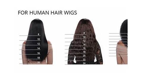 Lace Wig Hair Length Guide – Model Lace Wigs and Hair