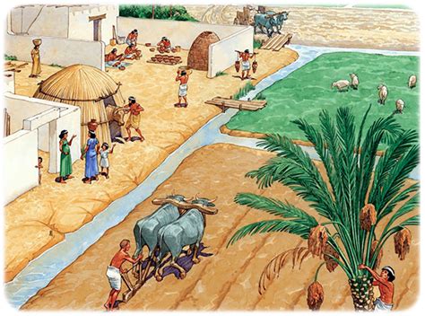 Ancient Egyptian Irrigation Methods Egy King