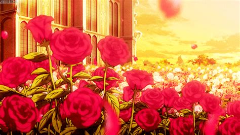Caesars Gold Coins Red Anime Flowers Anime Scenery Rosé Anime
