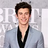 Shawn Mendes Wiki 2021: Net Worth, Height, Weight, Relationship & Full ...