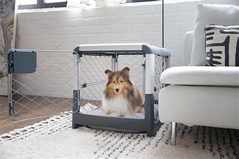 The 13 Best Dog Crates And Why You Need One Owners Guide Chattersource