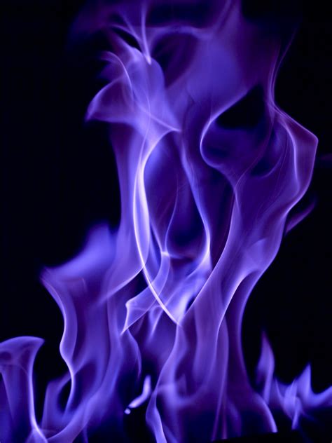 Free Images Glowing Flower Petal Smoke Flame Fire Glow