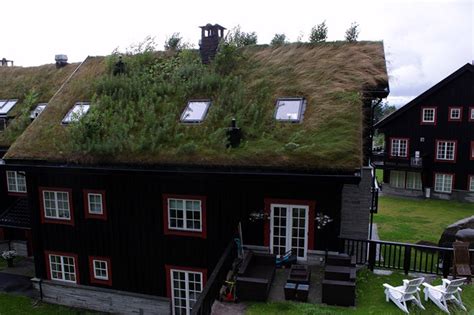 The Grass Roofs Of Norway Amusing Planet
