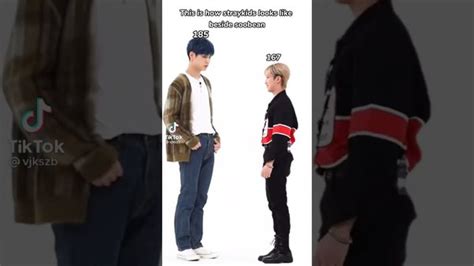 Are Stray Kids Tall In Real Life Quora