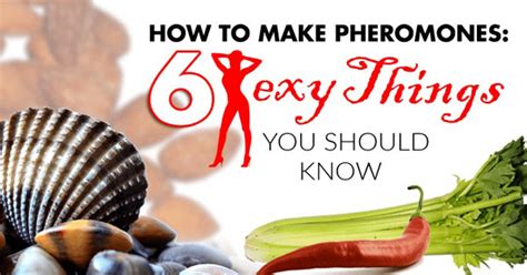 How To Make Pheromones 6 Sexy Things You Should Know Nexus Pheromones
