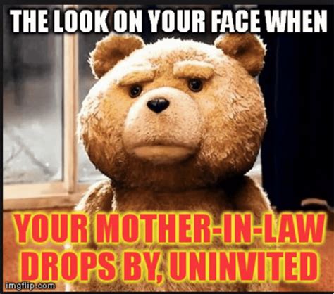 Awfully Funny Mother In Law Memes Sayingimages Com