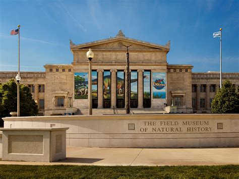 18 Best Museums In Chicago Condé Nast Traveler