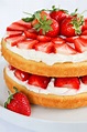 Strawberries & Fresh Cream Cake – Curly's Cooking