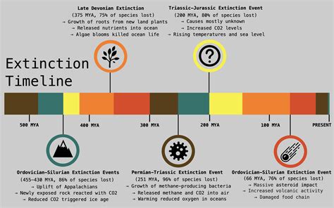 Timeline Of All Five Major Extinctions R Infographics