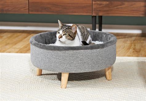 Sitting Pretty In A Modern Raised Cat Bed