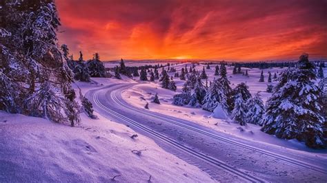 1920x1080 Snow Trees Road Sunset Wallpaper  645 Kb Coolwallpapersme