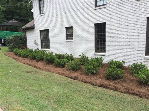Testimonals c&j electrical services, llc, a prime electrical contracting firm, we pride ourselves on time and project management, from planning phases, execution, and closing of each project. Our Services — C&J Lawn, LLC