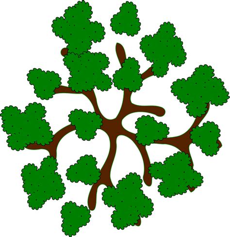 Tree Branches With Green Leaves Clipart Free Download Transparent Png