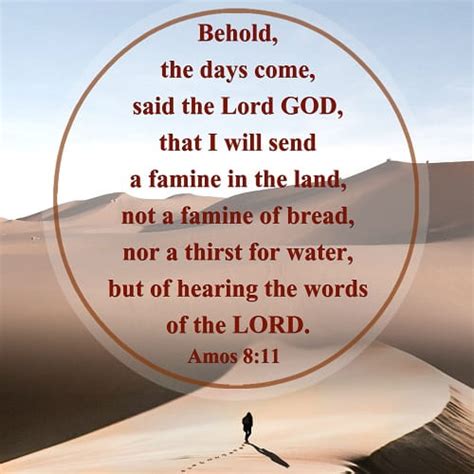 Bible Verse Amos 811