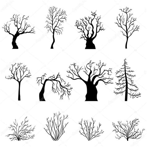 Vector Set Of Black Silhouettes Of Bare Trees And Bushes Without Leaves