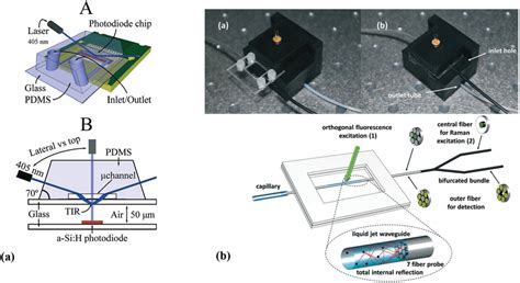 A Lateral Excitation Onto A Pdms Microfluidic Device Coupled To A