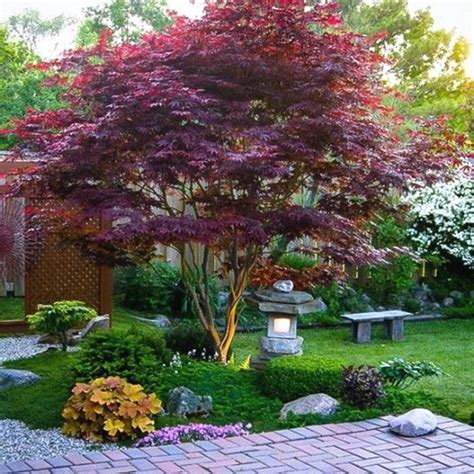 Evergreen Landscaping Ideas Zone 6 Small Front Yard Landscaping