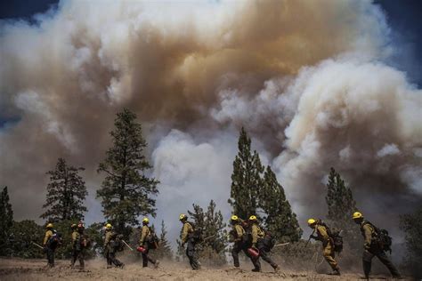 Los Angeles County Firefighters Hike In On A Fire Line On The Rim Fire